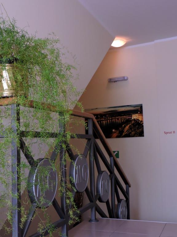 B&B Zmajevo Gnezdo 021 Kamanc Kültér fotó